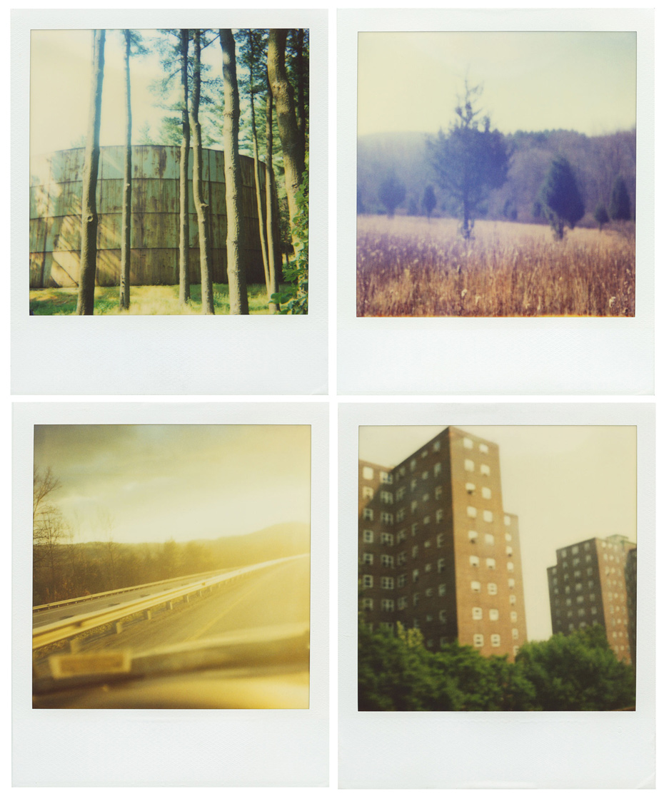 roid5web